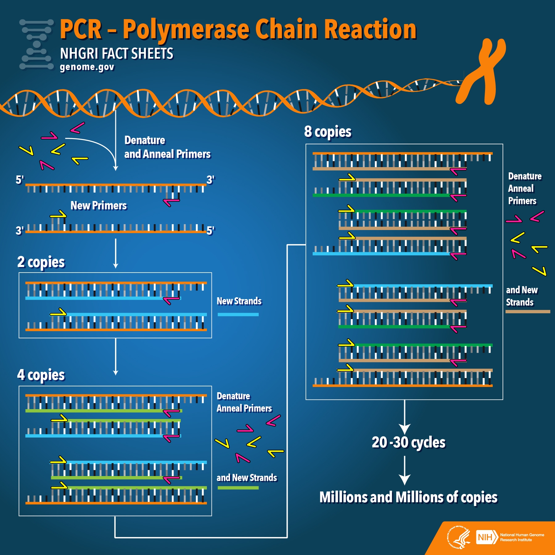 genmark pcr