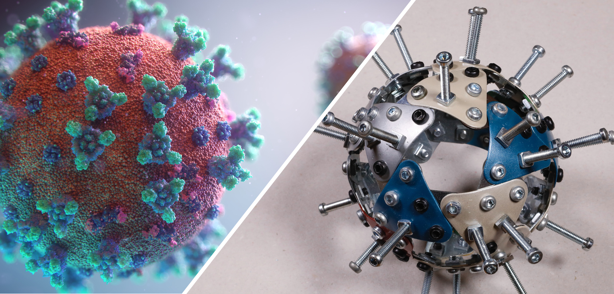 Did The Covid 19 Virus Originate From A Lab Or Nature Examining The Evidence For Different Hypotheses Of The Novel Coronavirus Origins Health Feedback